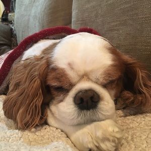 Meet your Posher, Tammy